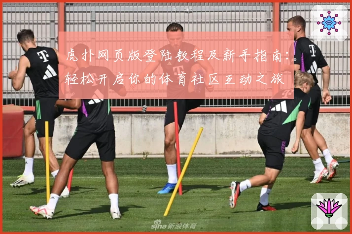 虎扑网页版登陆教程及新手指南：轻松开启你的体育社区互动之旅
