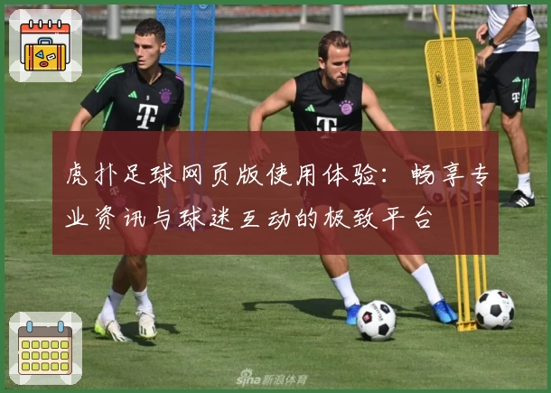 虎扑足球网页版使用体验：畅享专业资讯与球迷互动的极致平台